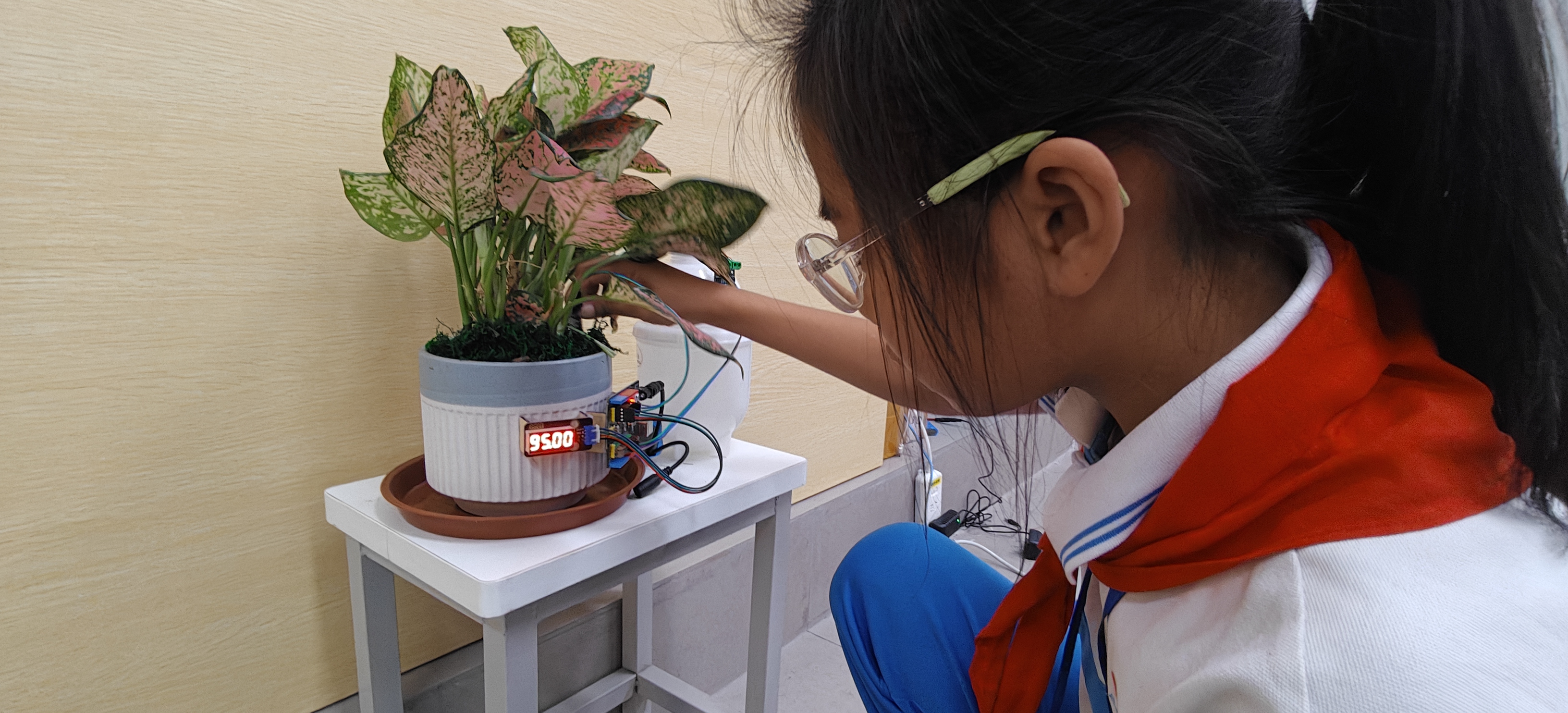 基于arduino的植物照顾_image_2.webp