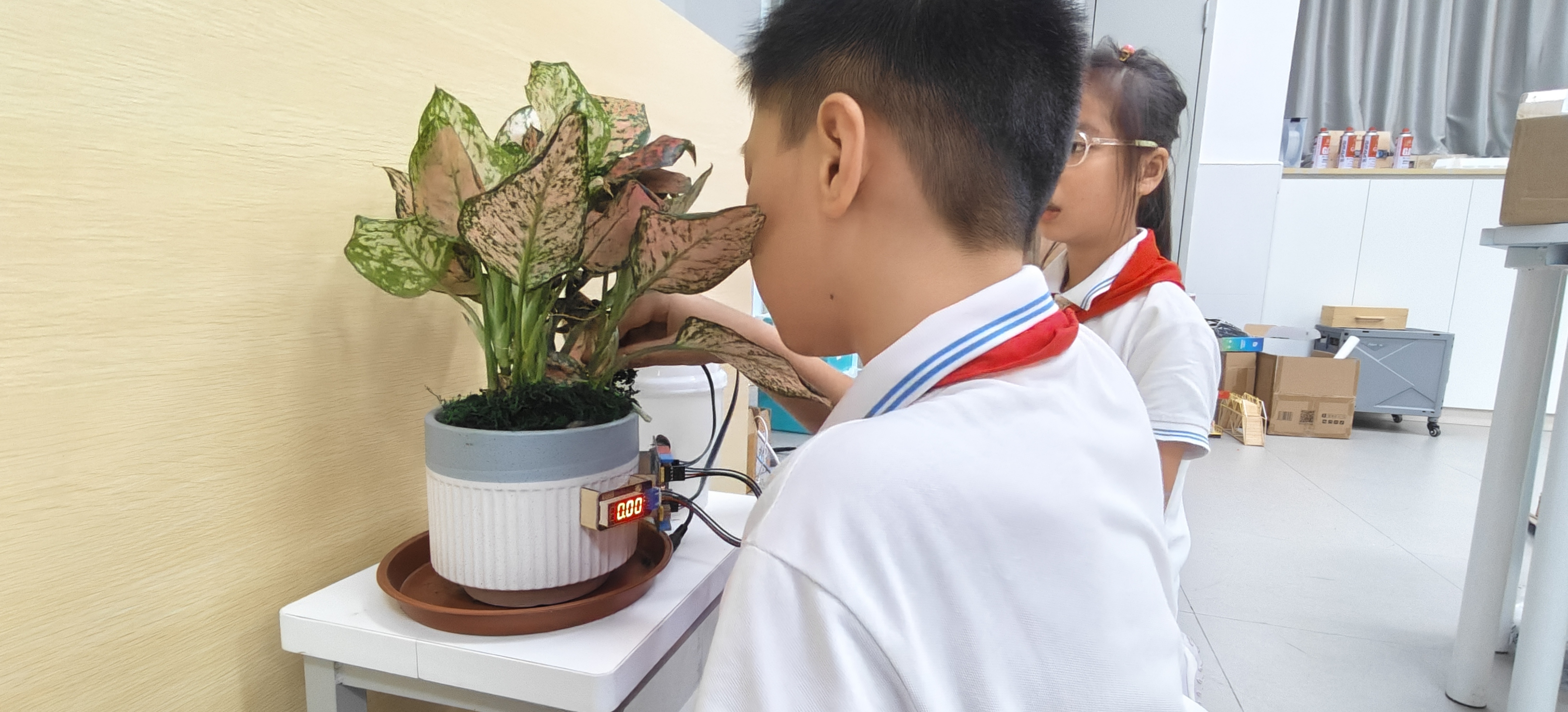 基于arduino的植物照顾_image_3.webp
