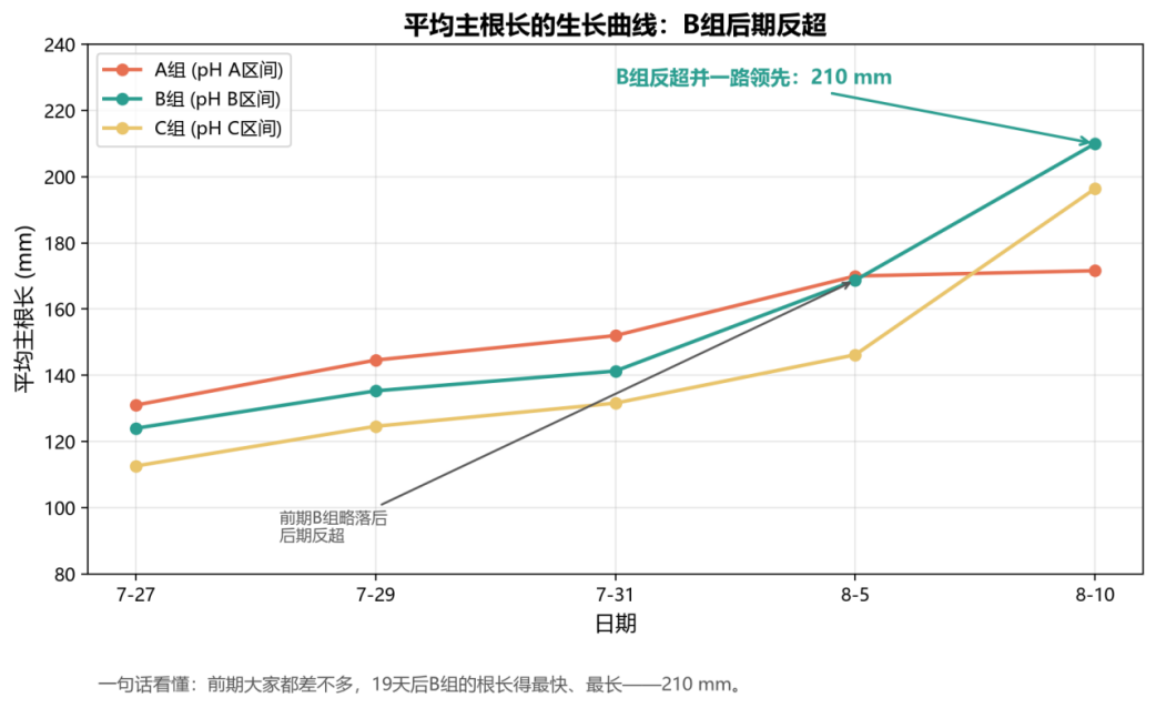 STEM教育 · 植物生长观察：枇杷苗19天科学探究_image_8.webp