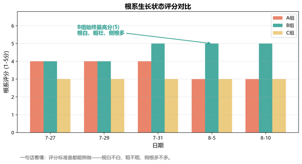 STEM教育 · 植物生长观察：枇杷苗19天科学探究_image_9.webp
