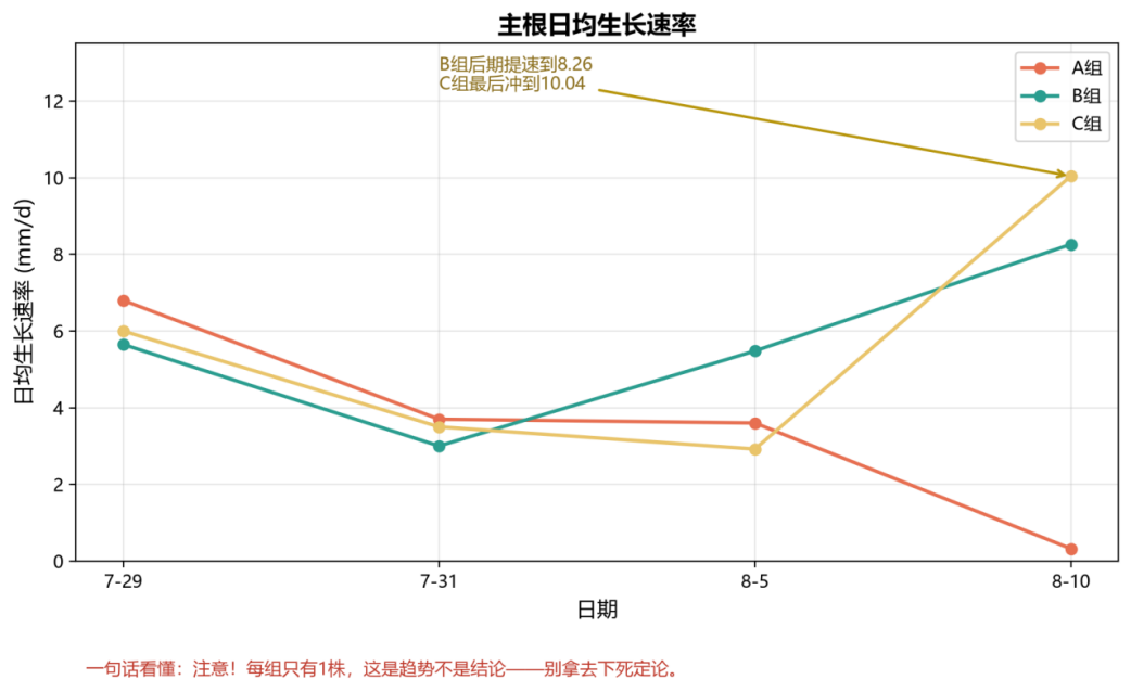 STEM教育 · 植物生长观察：枇杷苗19天科学探究_image_10.webp