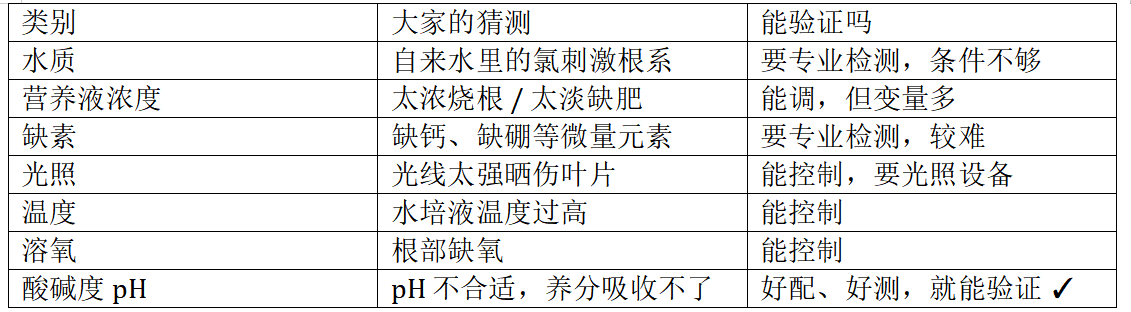 STEM教育 · 植物生长观察：枇杷苗19天科学探究_image_3.webp