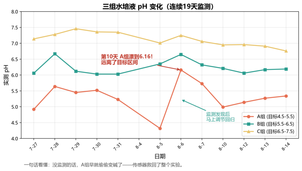 STEM教育 · 植物生长观察：枇杷苗19天科学探究_image_6.webp