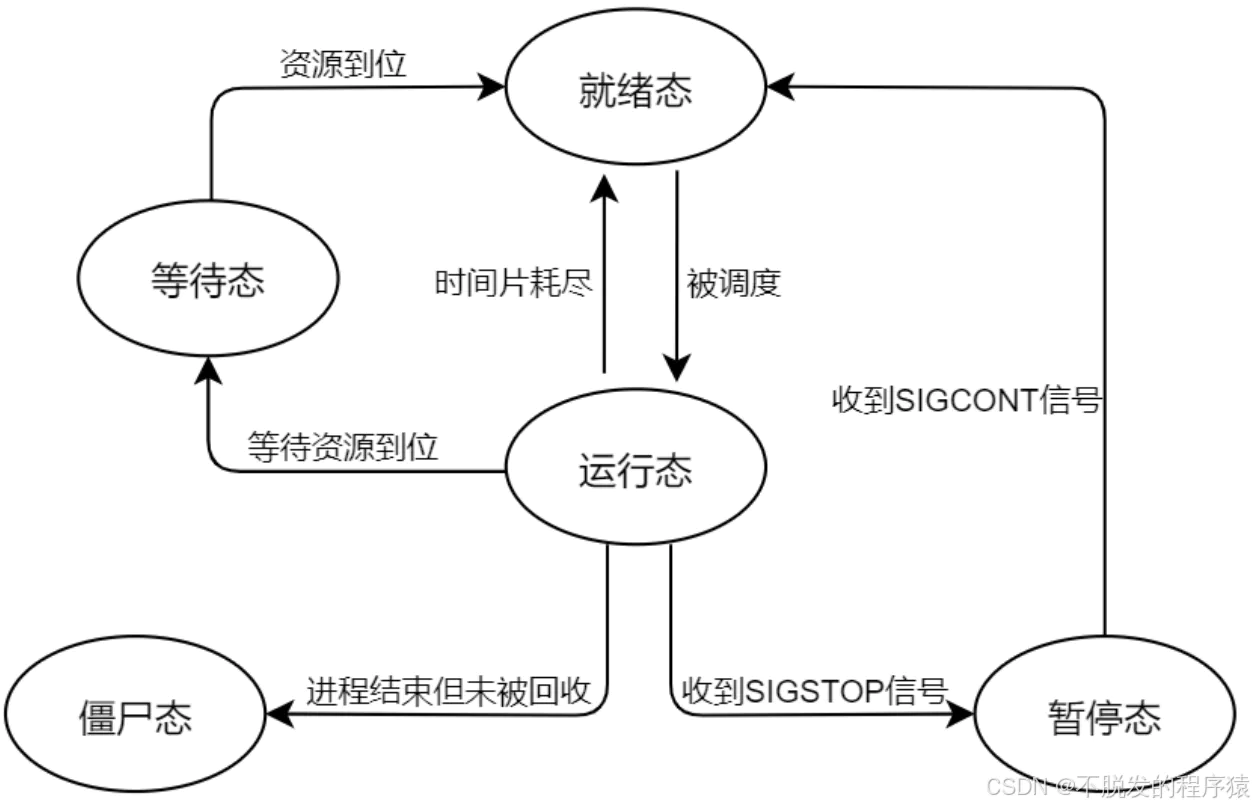 Linux进程状态及转换关系_image_1.webp