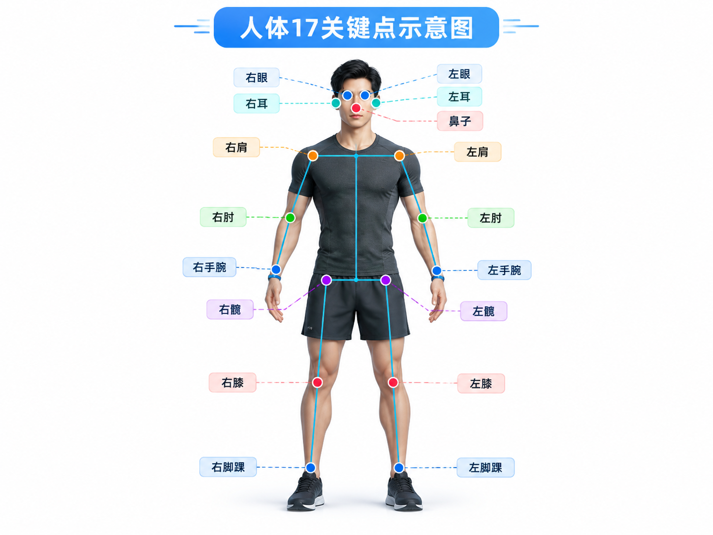 【行空板K10+姿势识别】基于 AI 姿态识别的小智健身助手_image_5.webp