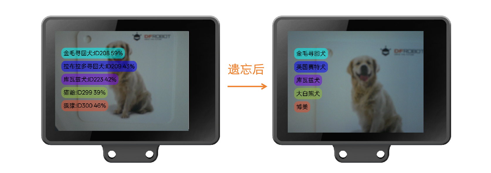 Interface Diagram