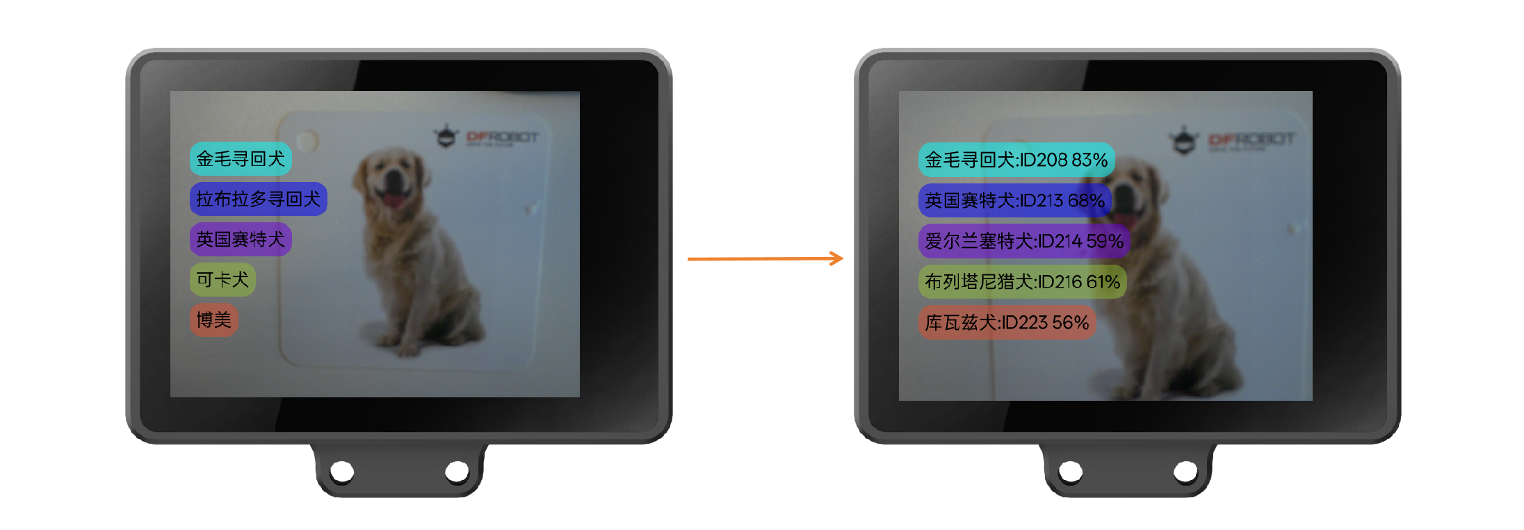 Interface Diagram
